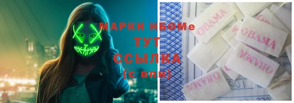ПСИЛОЦИБИНОВЫЕ ГРИБЫ Белоозёрский