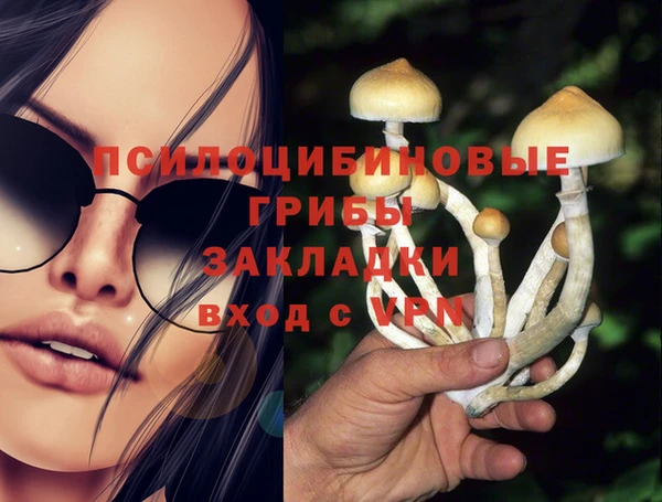 крисы Богородицк