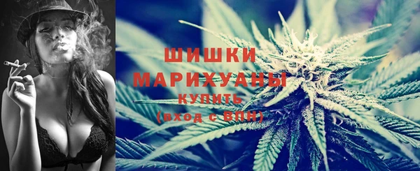 крисы Богородицк