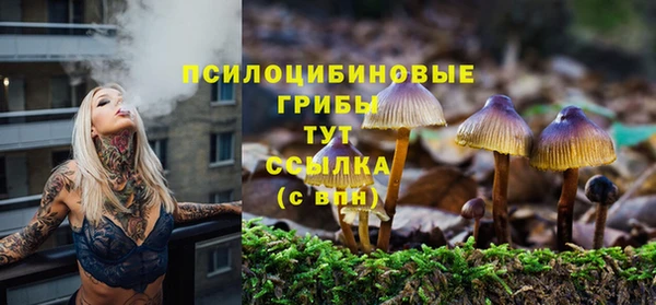 крисы Богородицк