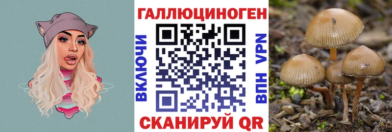 Псилоцибиновые грибы GOLDEN TEACHER наркошоп Егорьевск